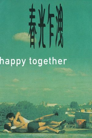 Poster phim Happy Together