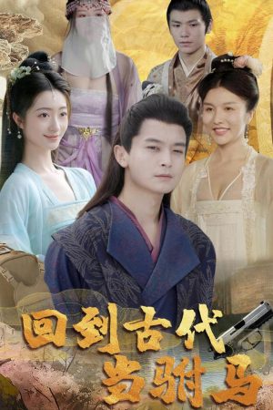 Poster phim Xuyên về cổ đại làm phò mã