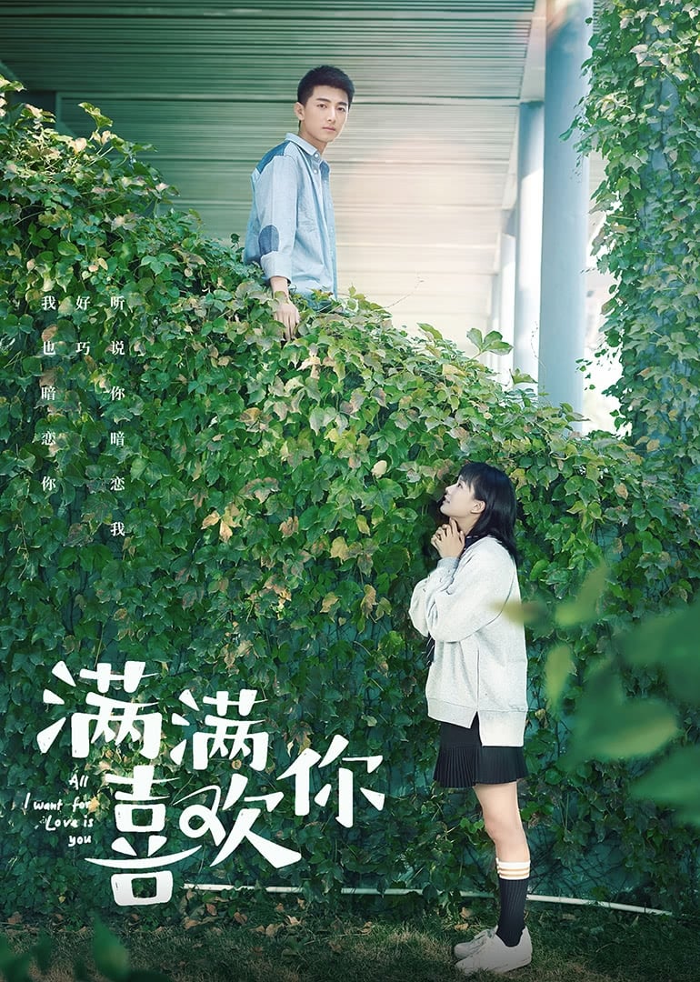 Poster phim Yêu Thương Đong Đầy