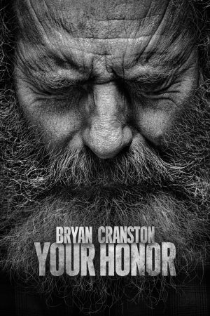 Poster phim Your Honor (Phần 2)