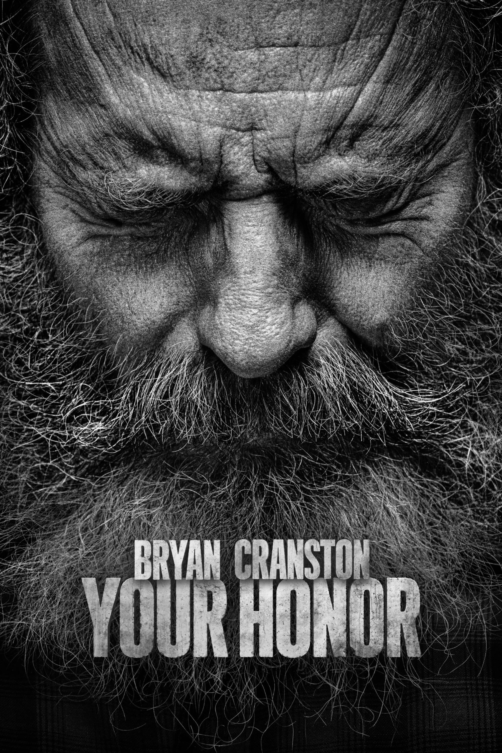 Poster phim Your Honor (Phần 2)