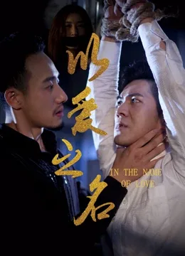 Poster phim Nhân danh tình yêu