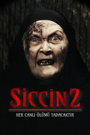 Poster phim Lời Nguyền Sijjin 2