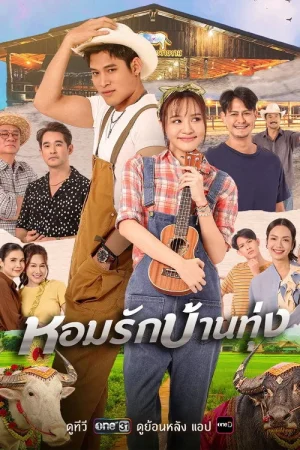 Poster phim Hương Tình Miền Quê