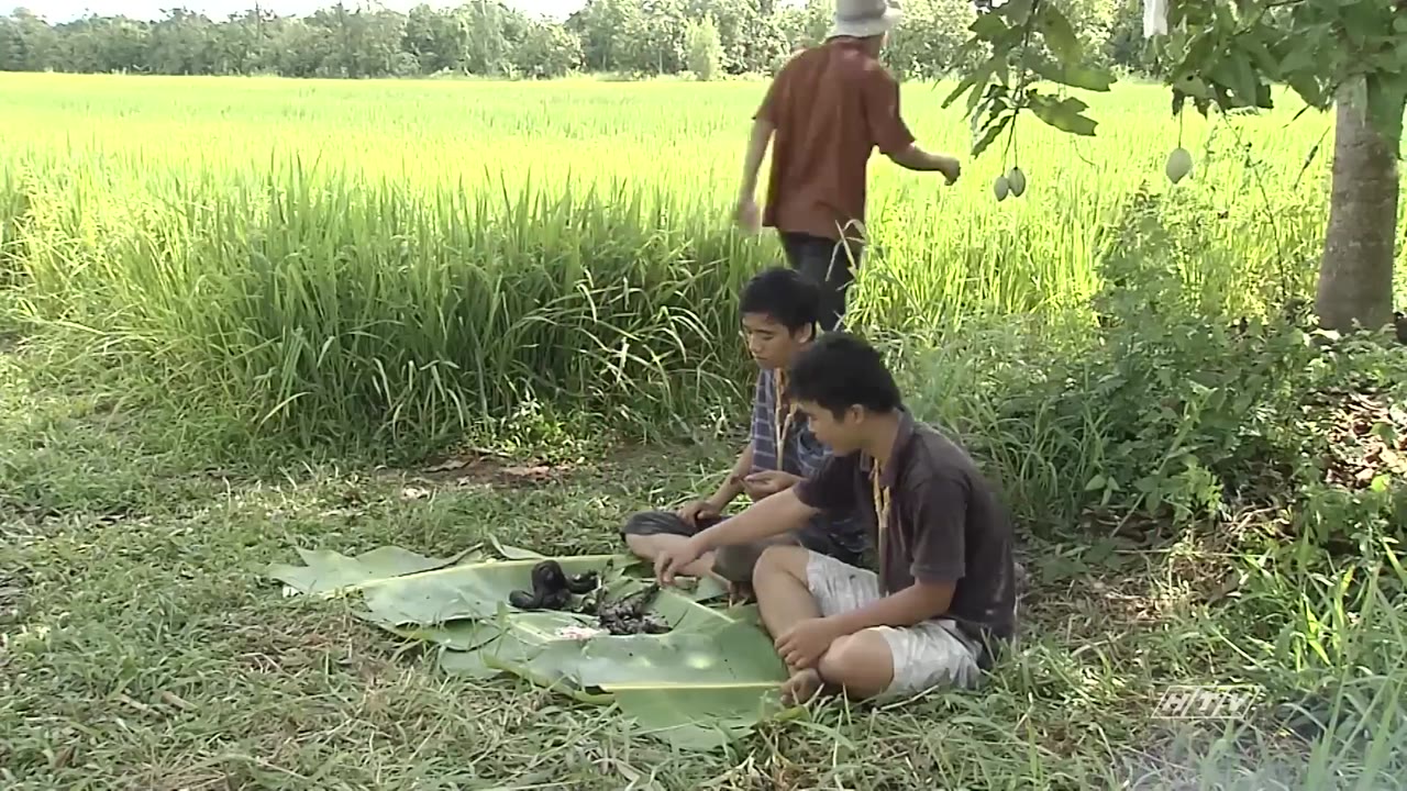 Miền Xanh tập 1 cảnh 2