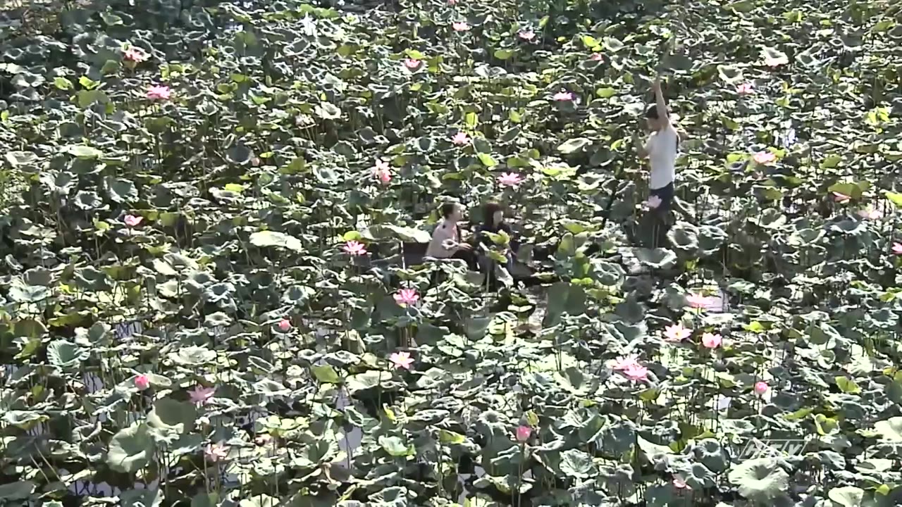 Miền Xanh tập 17 cảnh 2