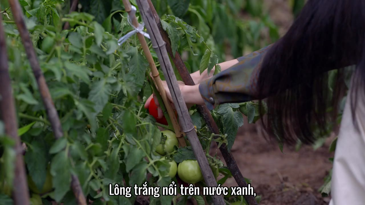 Thời Đại Tôi Luyện tập 22 cảnh 2
