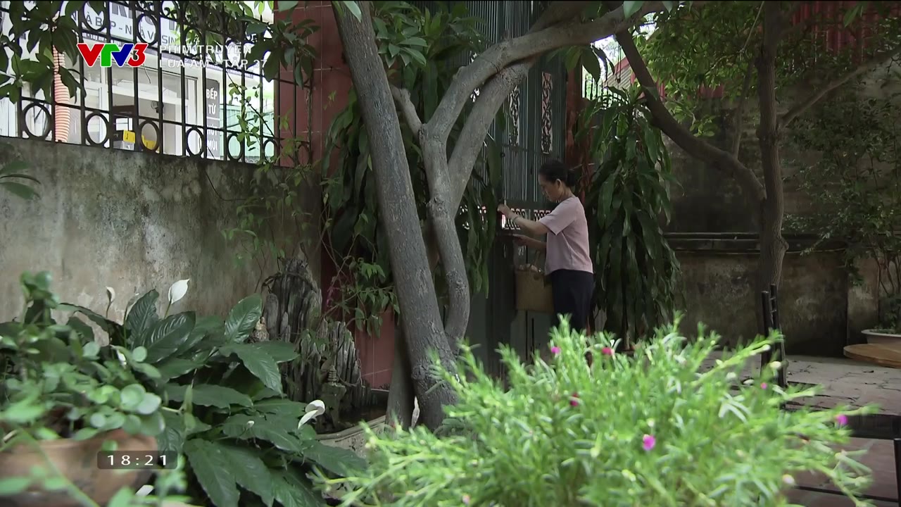 Lửa Ấm tập 37 cảnh 2