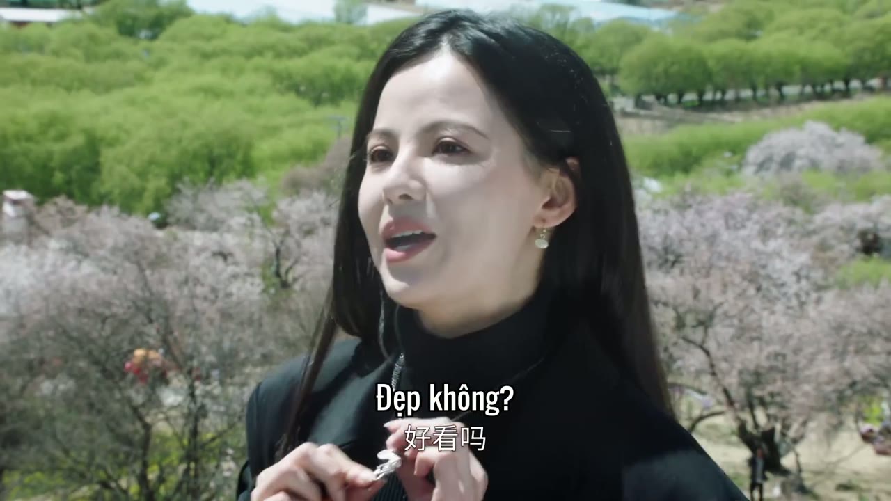 Đi Đến Nơi Hoa Đào Nở Rộ tập 16 cảnh 3