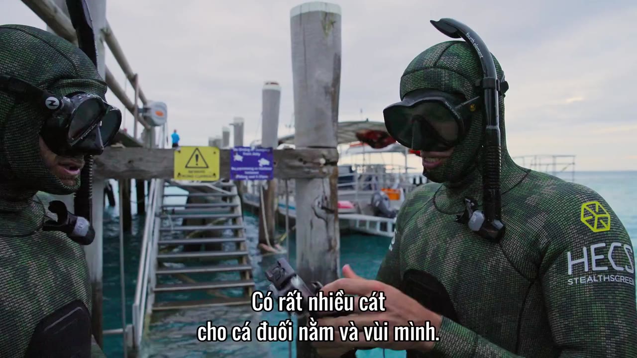 Đi tìm cá mập tập 2 cảnh 2