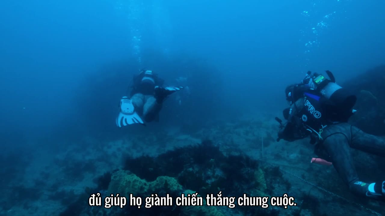Đi tìm cá mập tập 3 cảnh 3