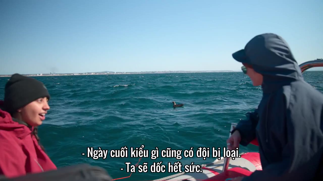 Đi tìm cá mập tập 4 cảnh 2