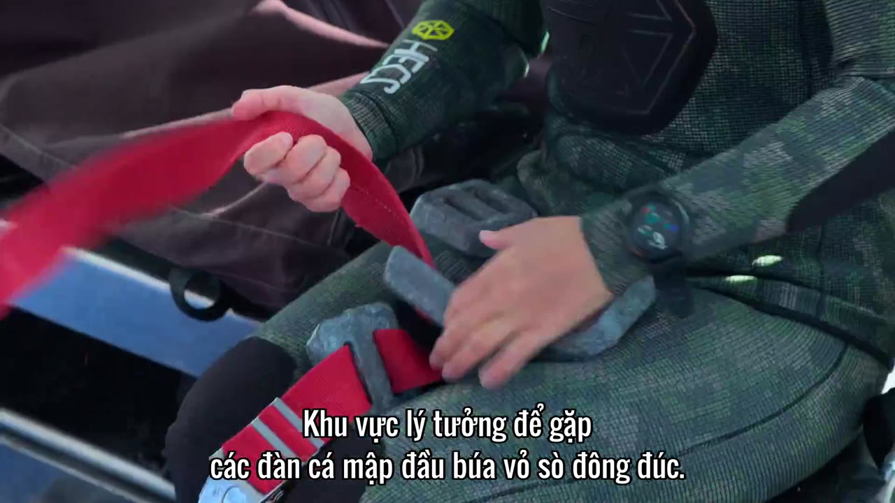 Đi tìm cá mập tập 6