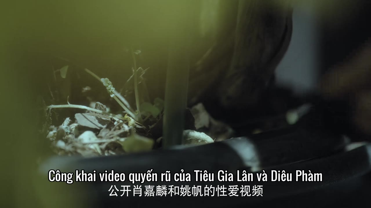 Một Nửa Sự Thật tập 25