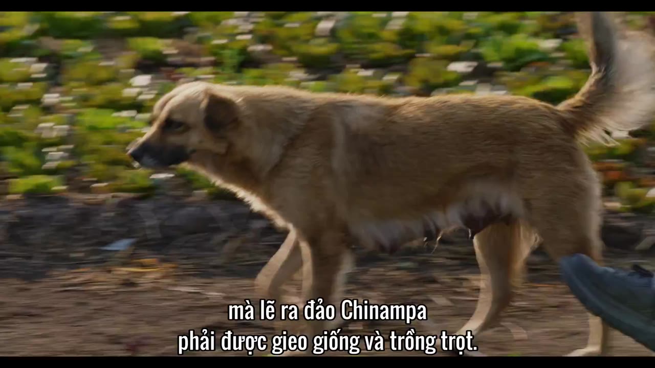 Hành trình ẩm thực của Phil (Phần 5) tập 6 cảnh 2