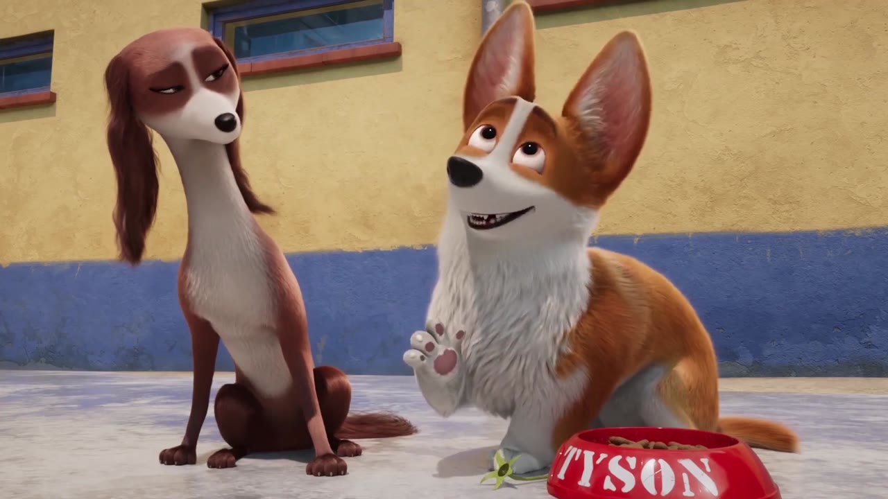 Corgi: Những chú chó hoàng gia - cảnh 2