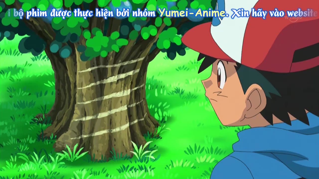 Pokémon: Mặt Trời & Mặt Trăng (Phần 2) tập 792 cảnh 2