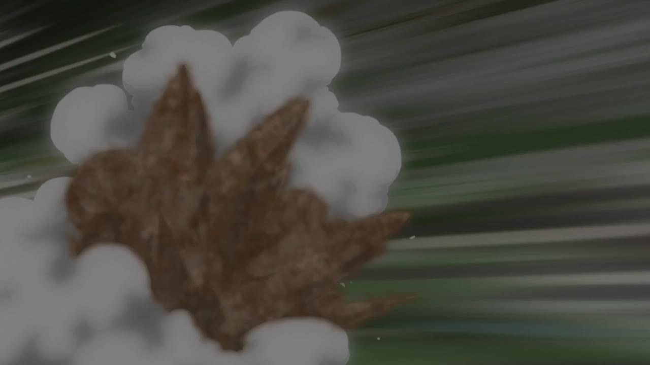 Pokémon: Mặt Trời & Mặt Trăng (Phần 2) tập 1200