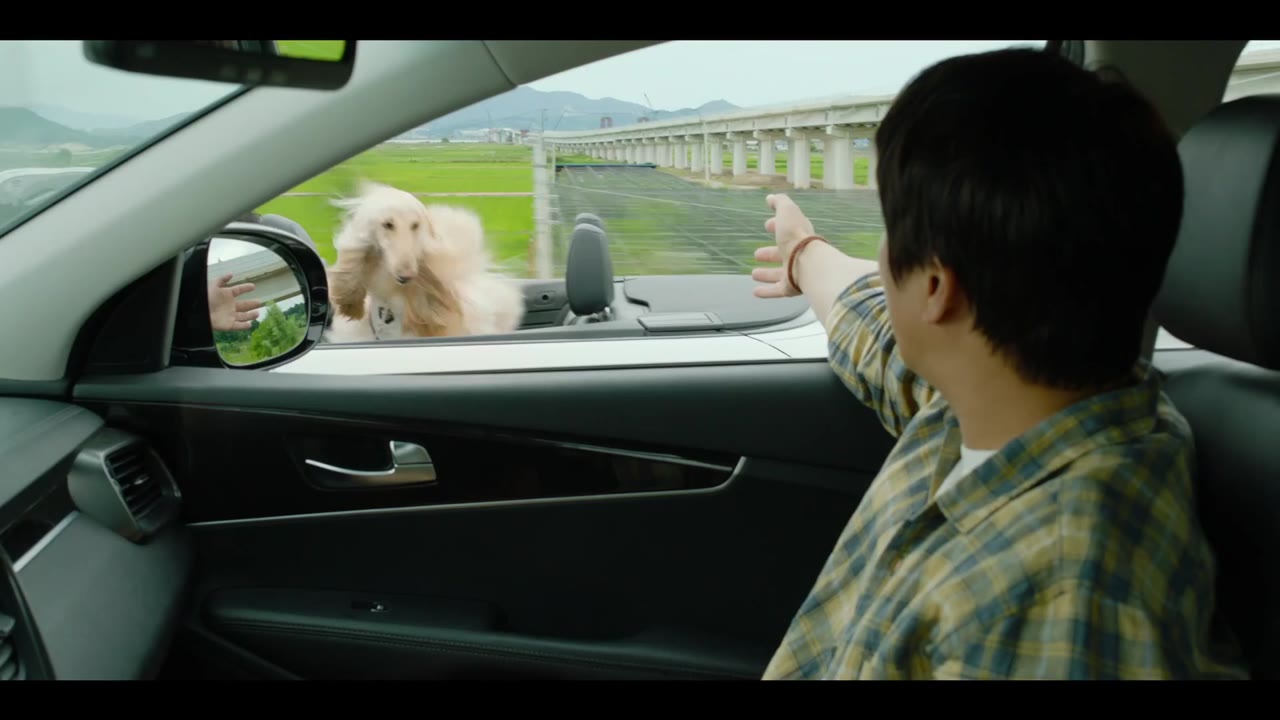 Tìm Nhà Cho Boss tập 1 cảnh 2