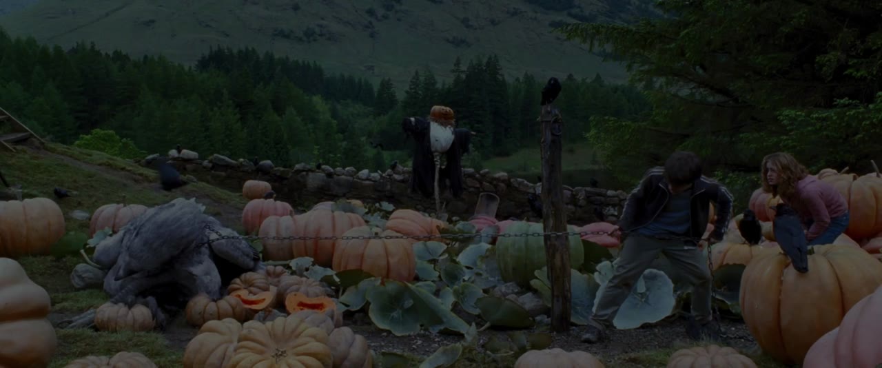 Harry Potter và Tên Tù Nhân Ngục Azkaban tập 1 cảnh 3
