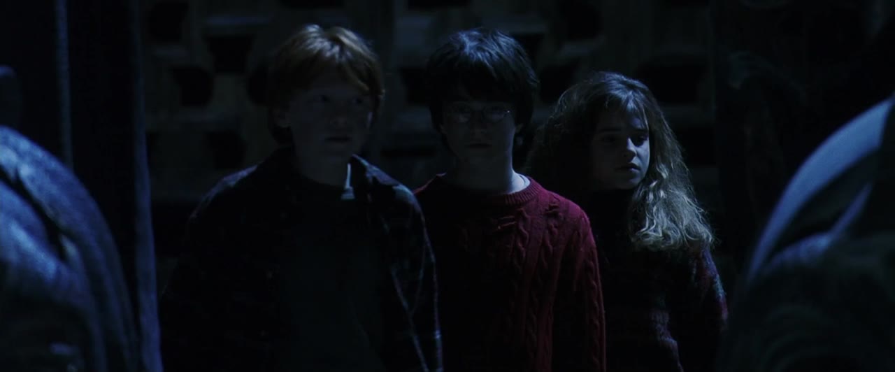 Harry Potter và Hòn Đá Phù Thủy tập 1 cảnh 3