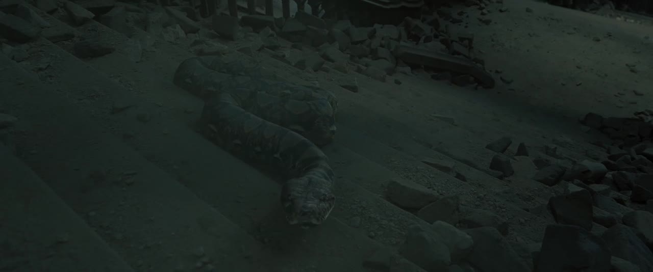 Harry Potter và Bảo Bối Tử Thần (Phần 2) tập 1 cảnh 3