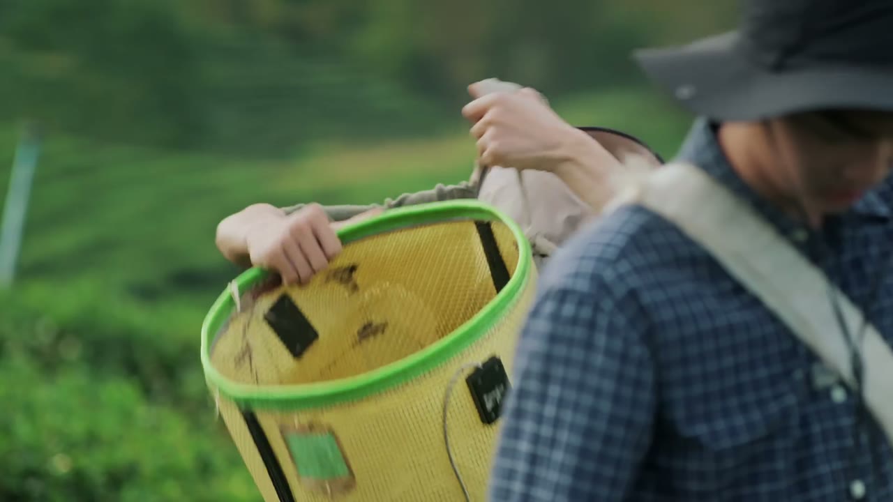 Your Dear Daddy: Gọi Dad đi Tharn tập 2
