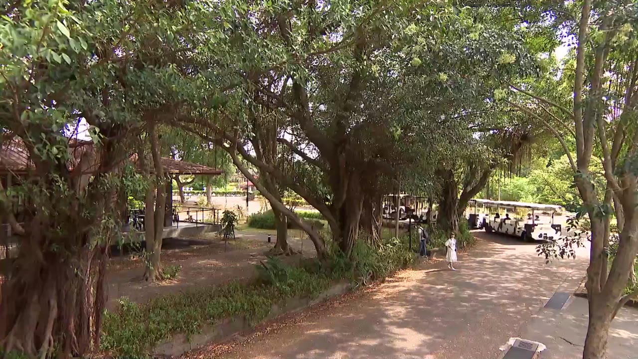 Thanh Xuân Không Sợ Hãi tập 34