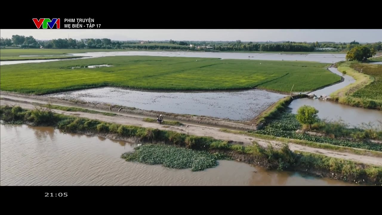 Mẹ Biển tập 17