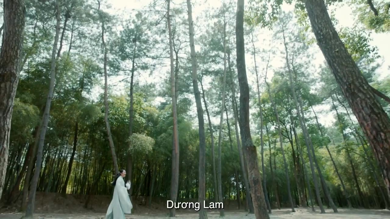 Lăng Vân Chí tập 11