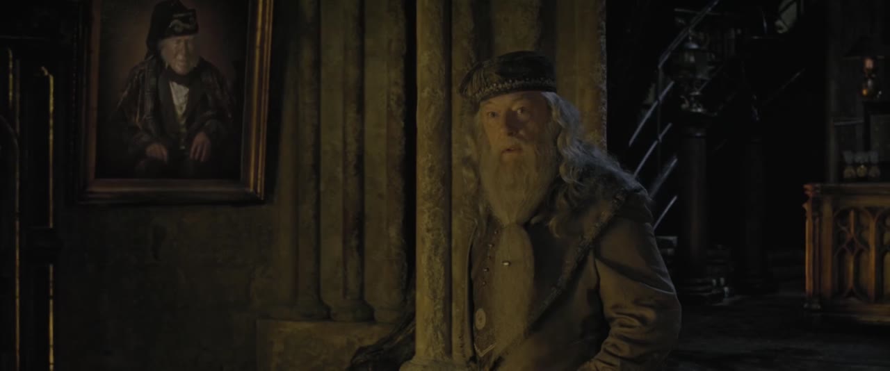 Harry Potter Và Mệnh Lệnh Phượng Hoàng tập 1 cảnh 2