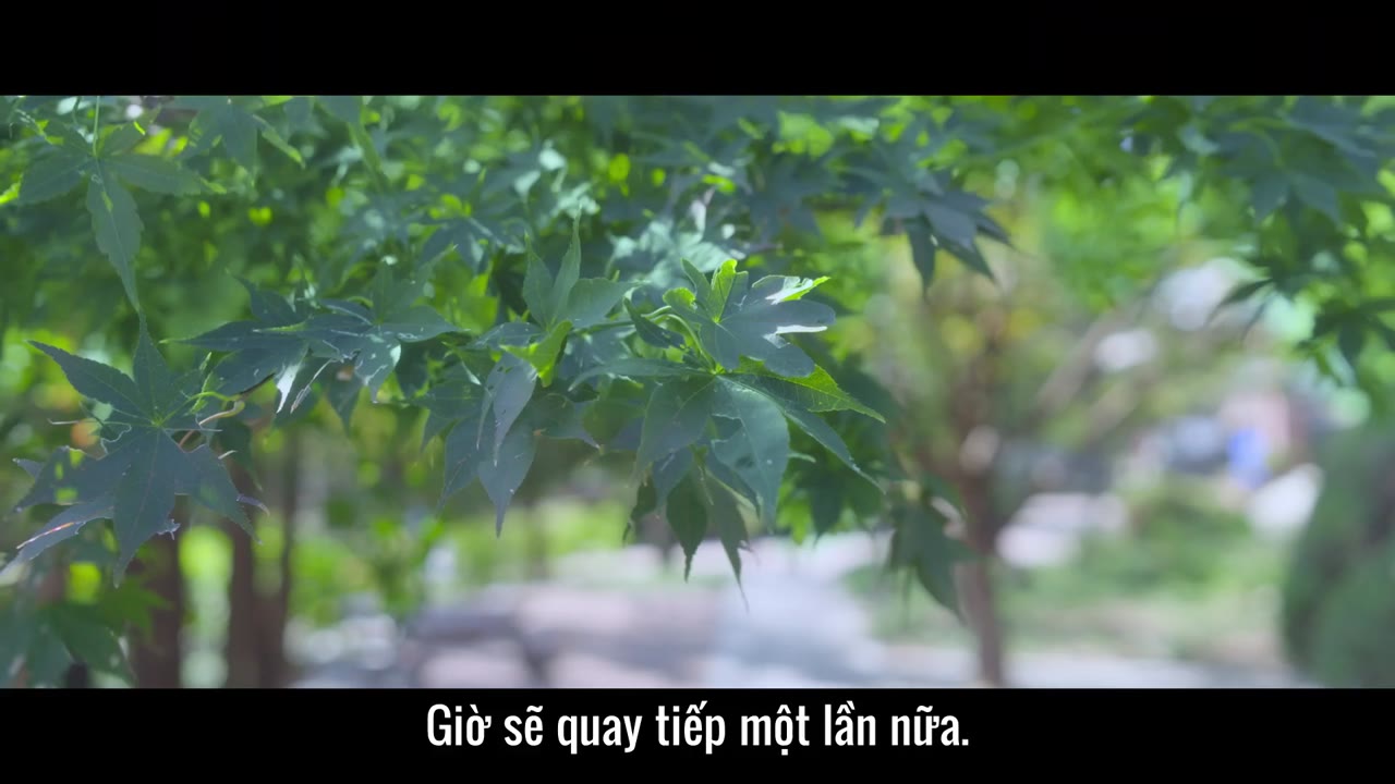 Quả Hồng Đỏ tập 4 cảnh 3