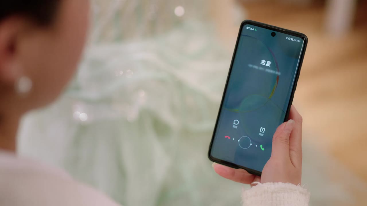 Kim Ốc Tàng Phu tập 11