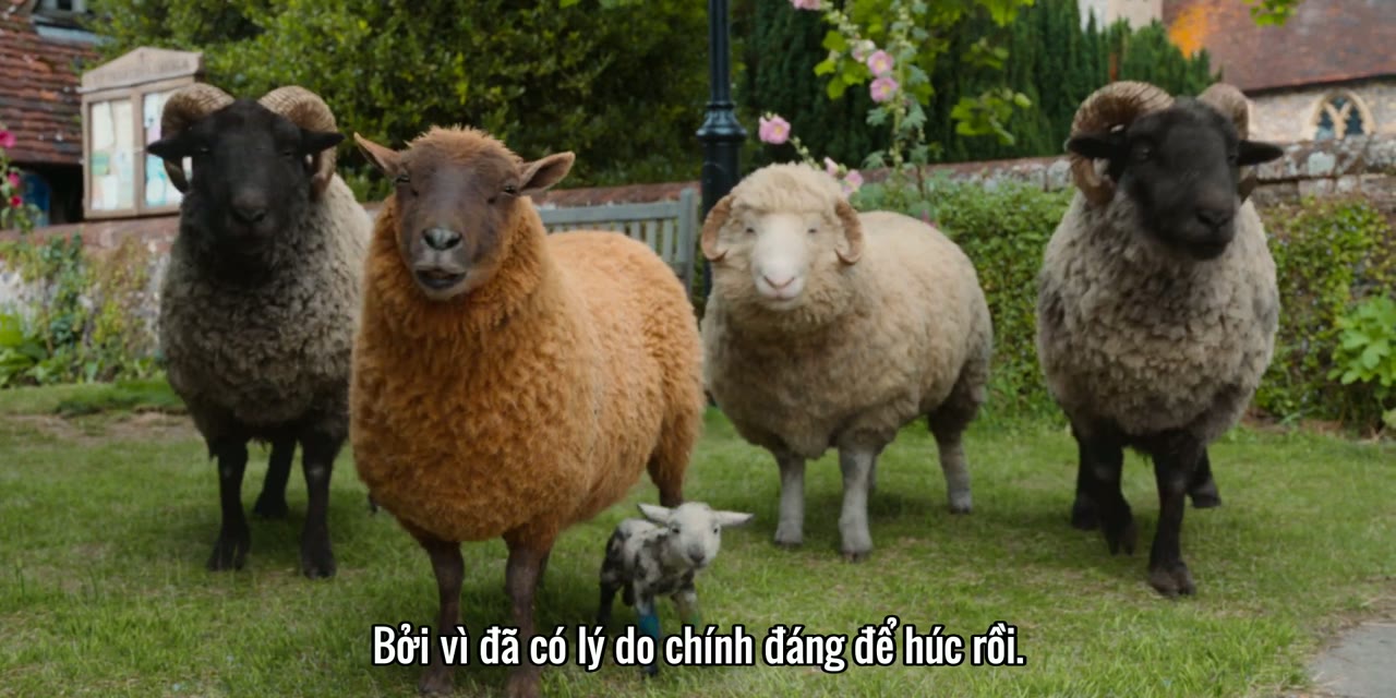 Đội Thám Tử Cừu: Án Mạng Lúc Nửa Đêm tập 1 cảnh 3