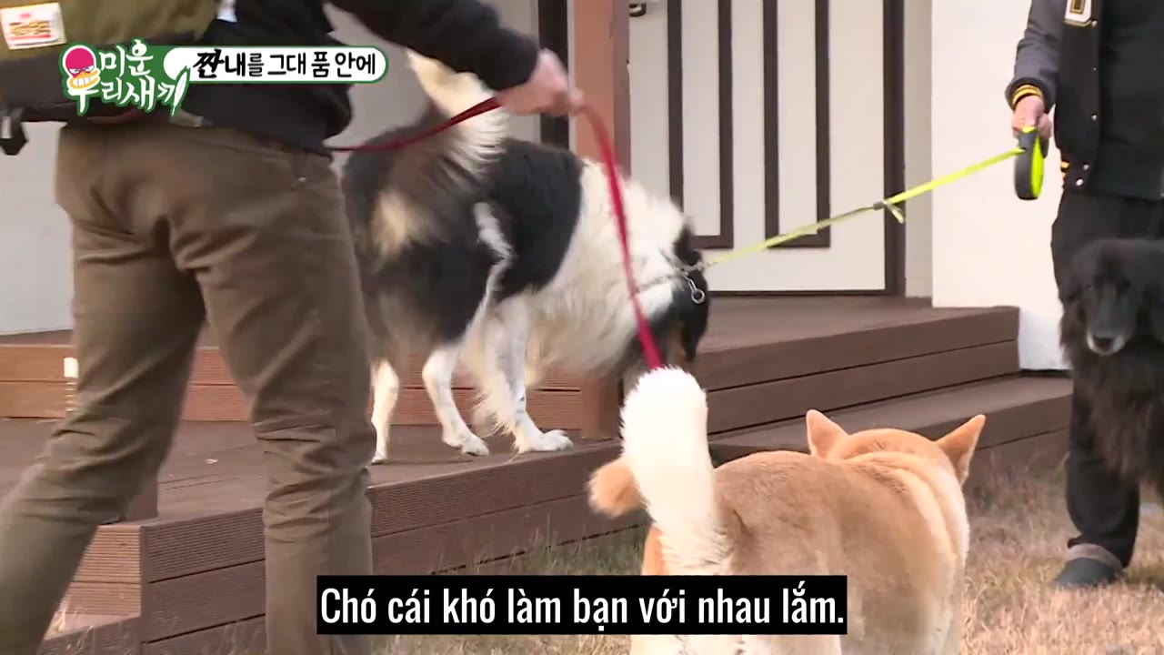 My Little Old Boy tập 121
