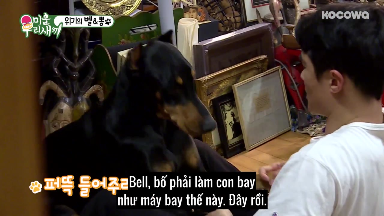 My Little Old Boy tập 143