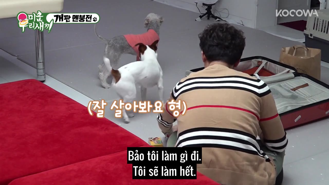 My Little Old Boy tập 182 cảnh 3