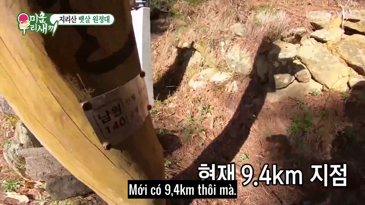 My Little Old Boy tập 239 cảnh 3