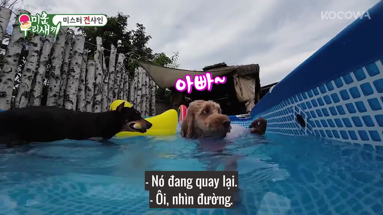 My Little Old Boy tập 412 cảnh 3