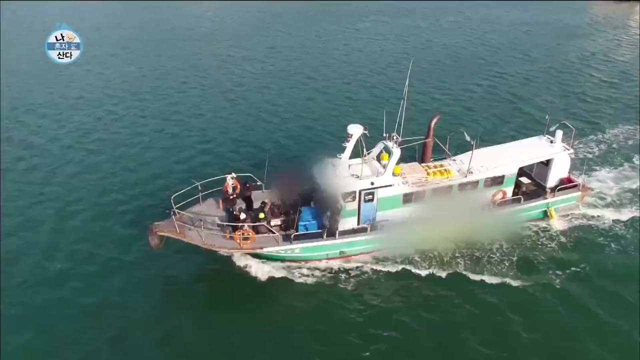 Holo, tình yêu của tôi tập 274