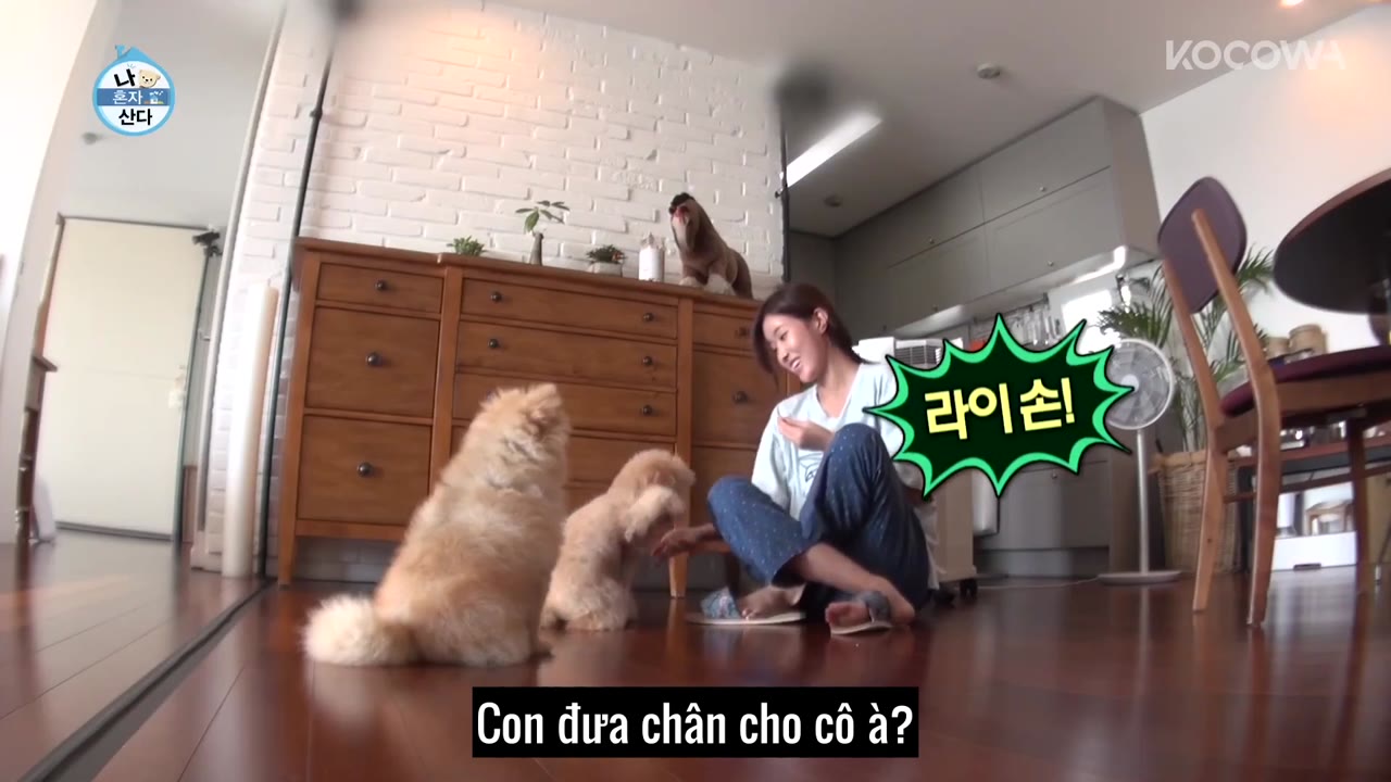 Holo, tình yêu của tôi tập 306 cảnh 2