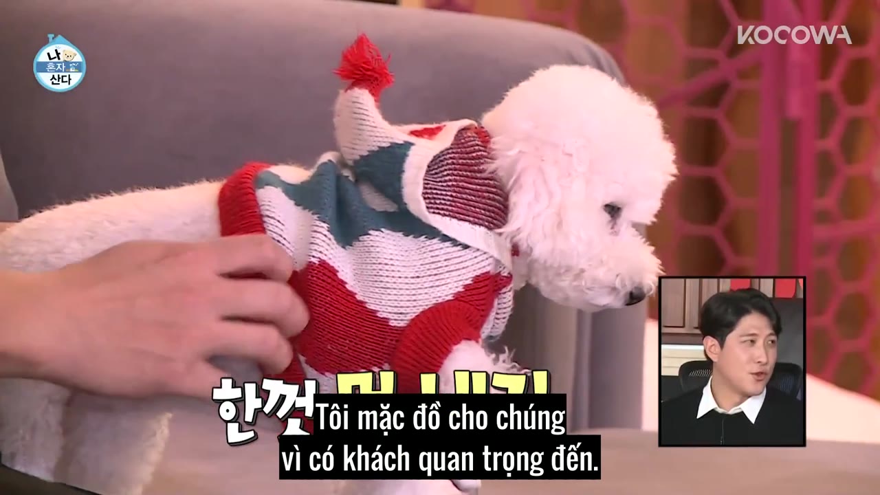 Holo, tình yêu của tôi tập 379