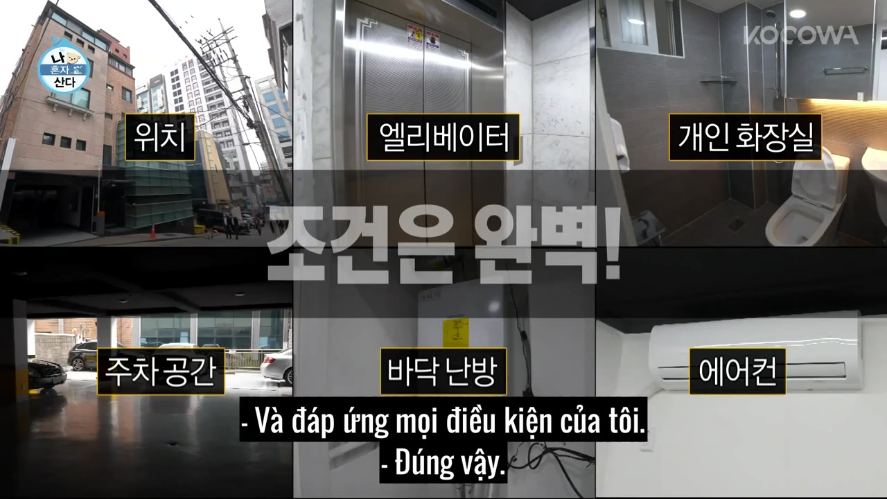Holo, tình yêu của tôi tập 441