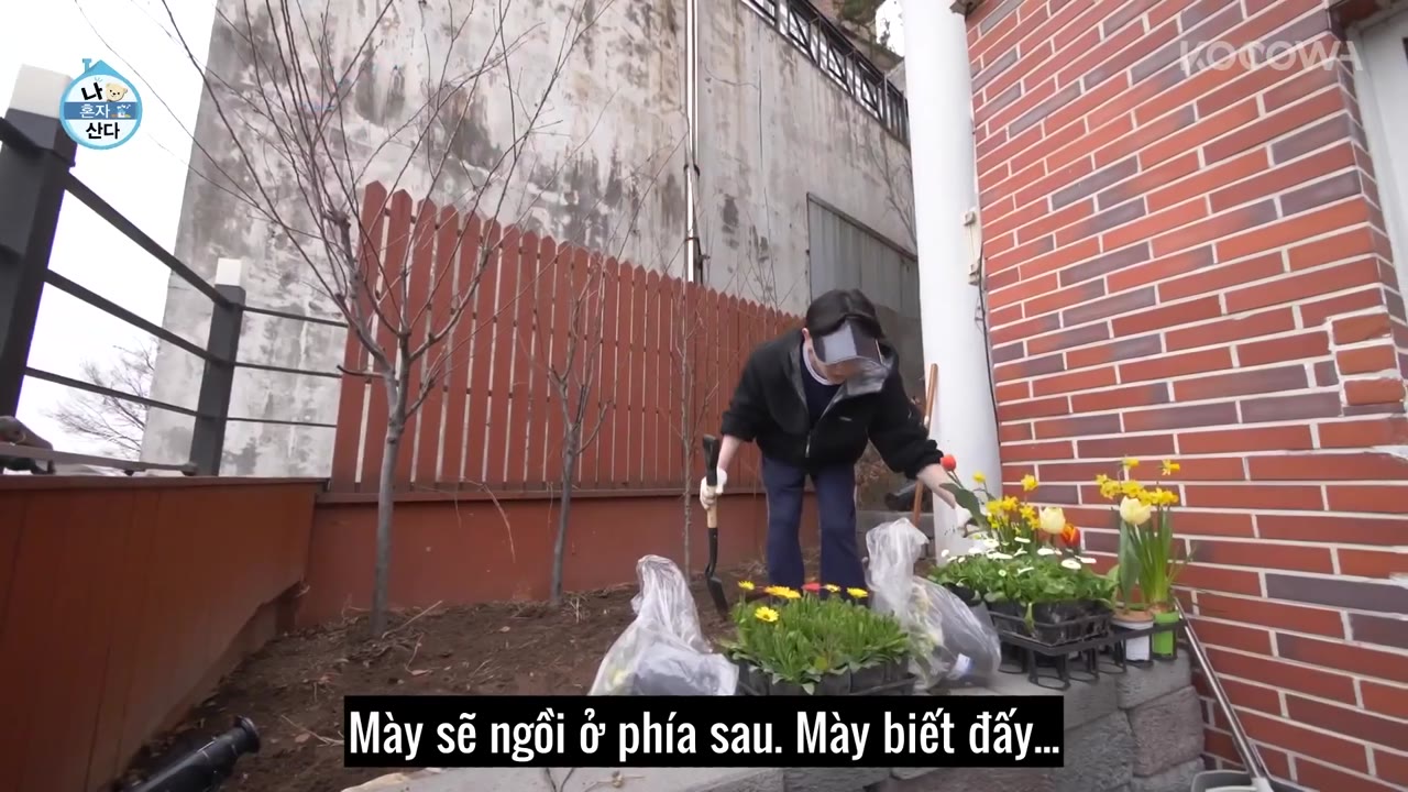 Holo, tình yêu của tôi tập 443 cảnh 3