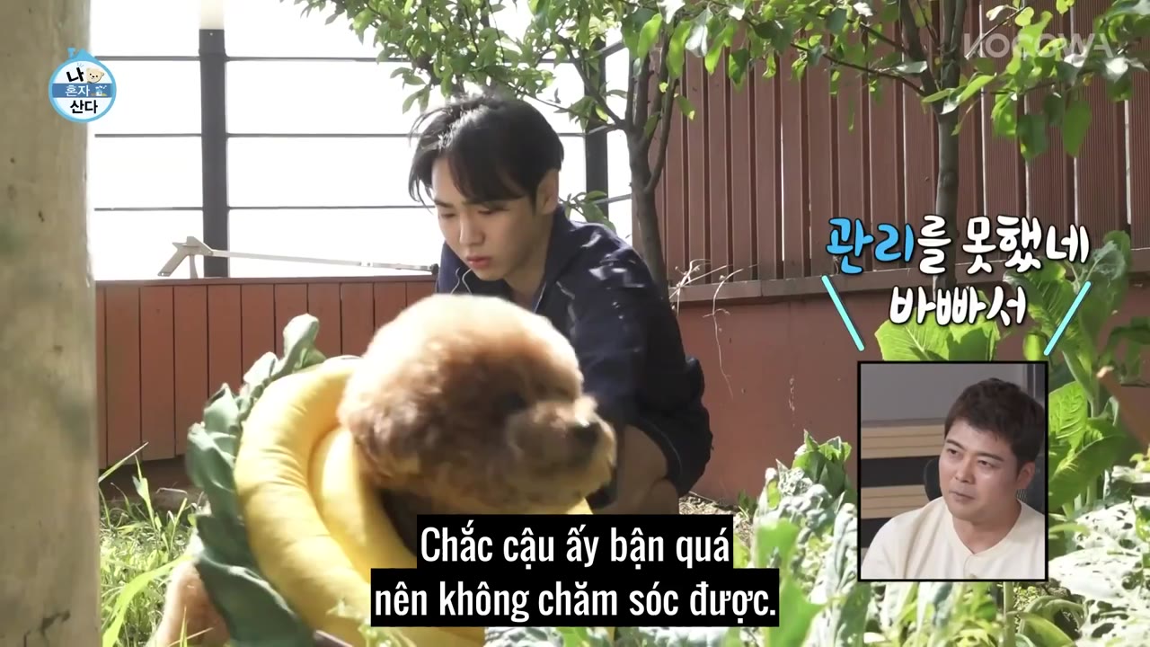 Holo, tình yêu của tôi tập 449 cảnh 2