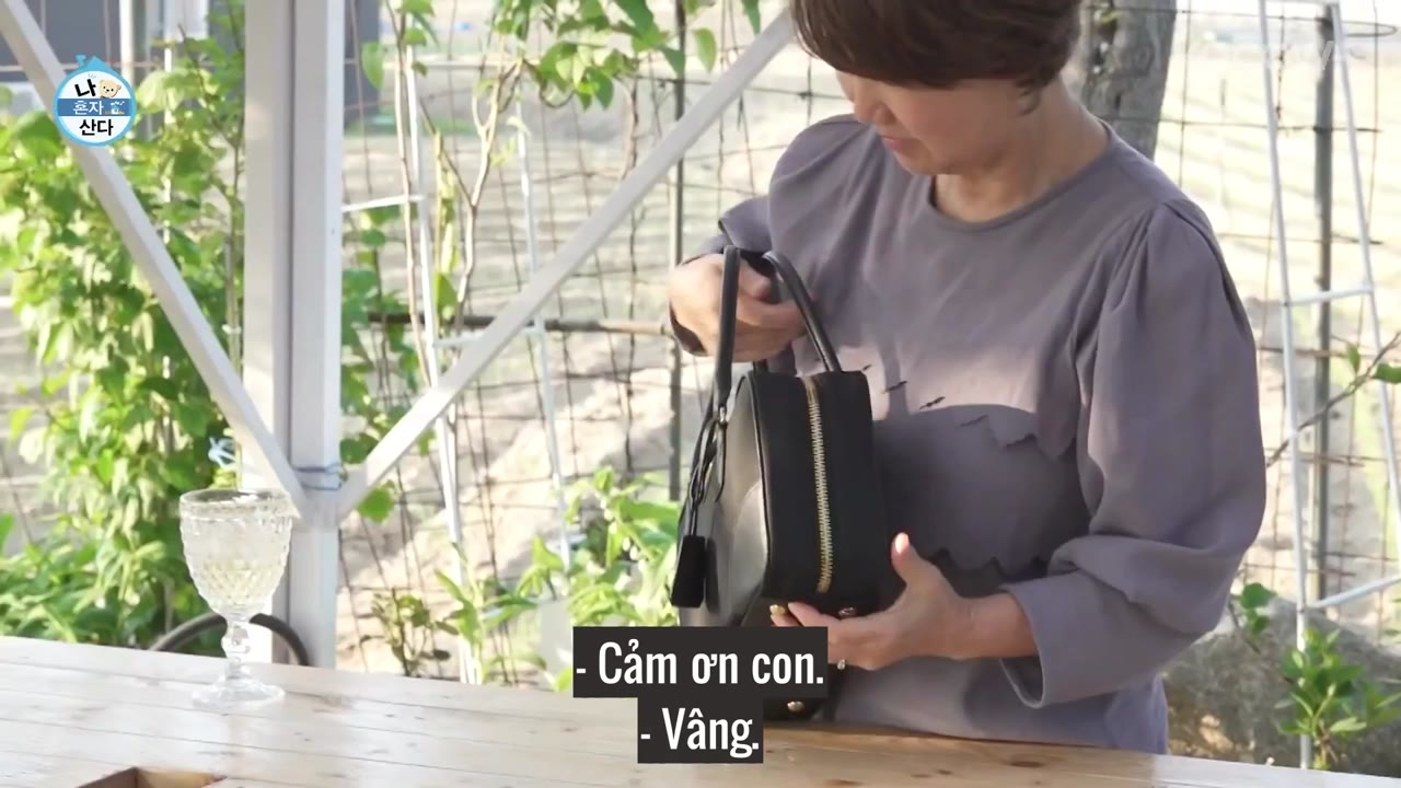 Holo, tình yêu của tôi tập 547 cảnh 2