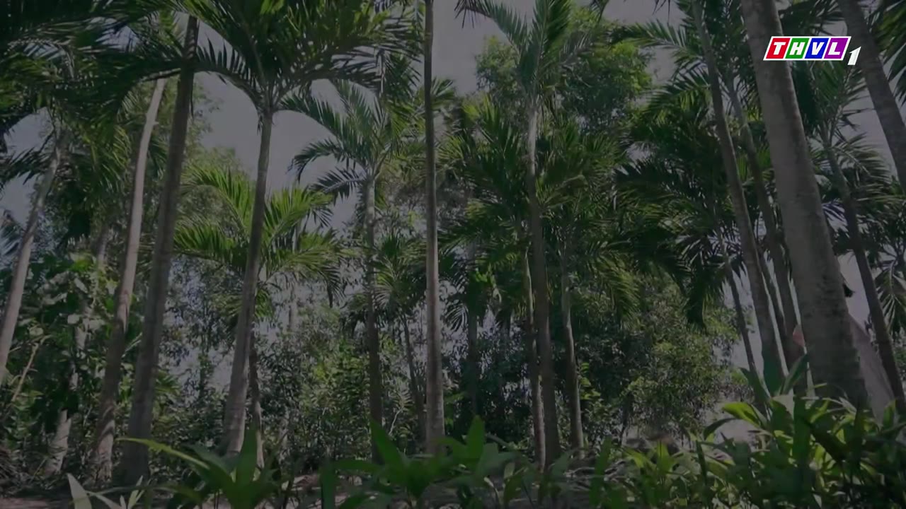 Duyên Kiếp tập 27