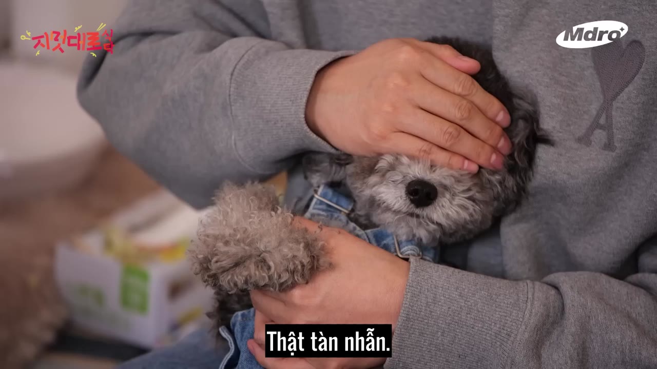 Bữa Ăn Theo Cách Của Tôi tập 4 cảnh 2