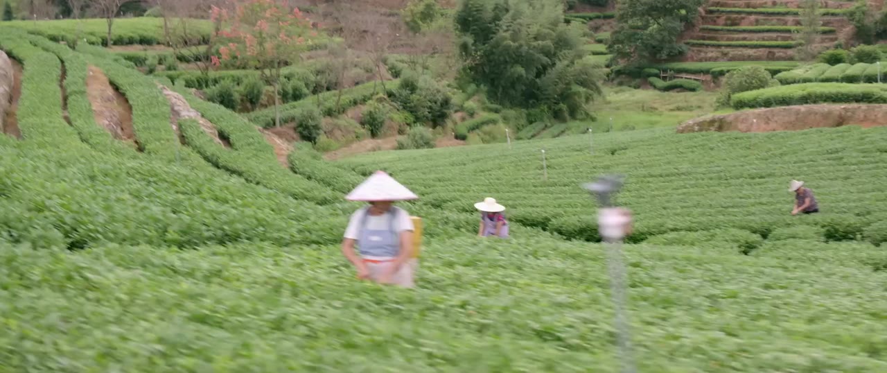 Khu Rừng Nhỏ Của Hai Người tập 4 cảnh 3