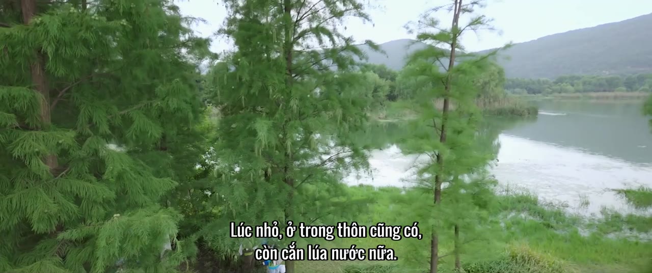 Khu Rừng Nhỏ Của Hai Người tập 25 cảnh 3